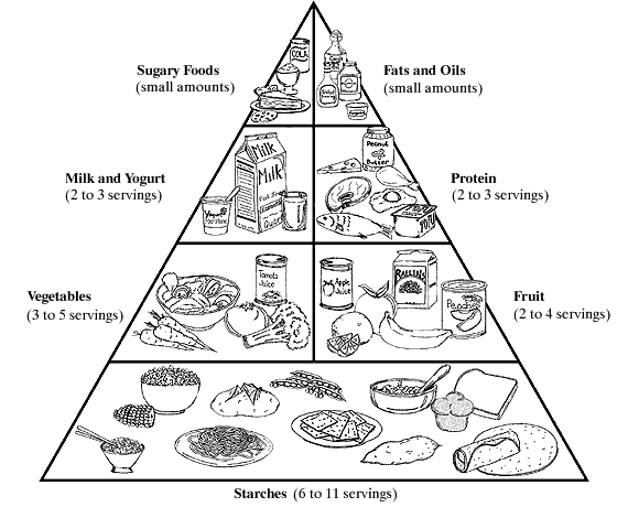 Food Pyramid