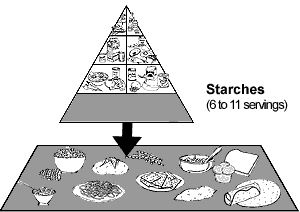 Starches, 6 to 11 servings